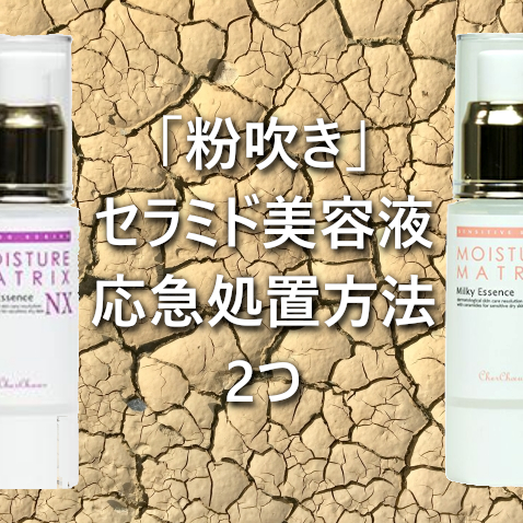 夕方の 粉吹き セラミド美容液で応急処置 敢えてヨレさせる セラミド化粧品 Dsr オフィシャルブログ