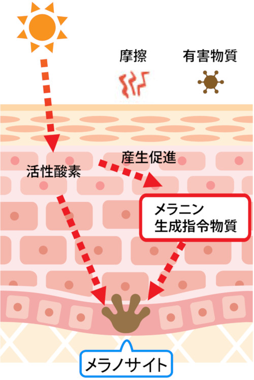 シミができるメカニズム