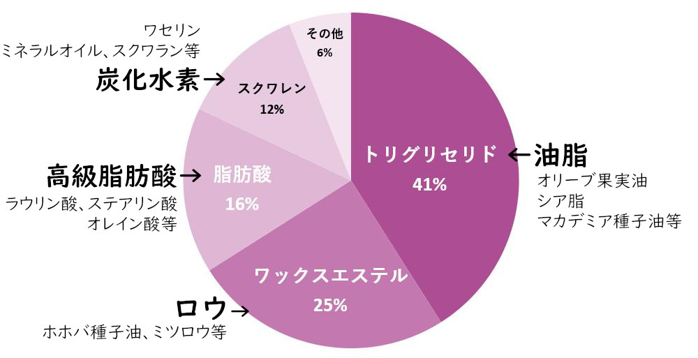 皮脂の構成成分 