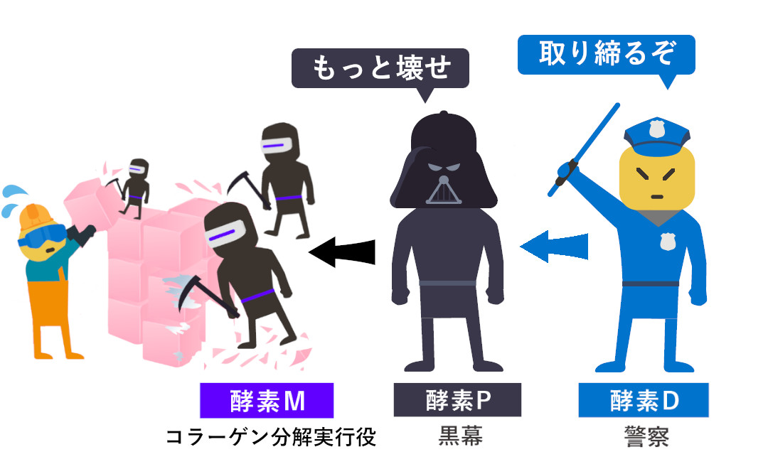 シワを作る実行役、黒幕、警察