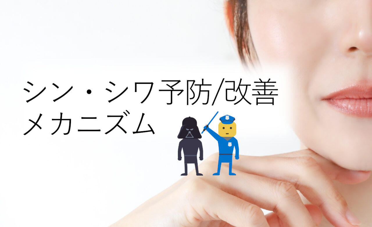 シン・シワ予防改善メカニズム