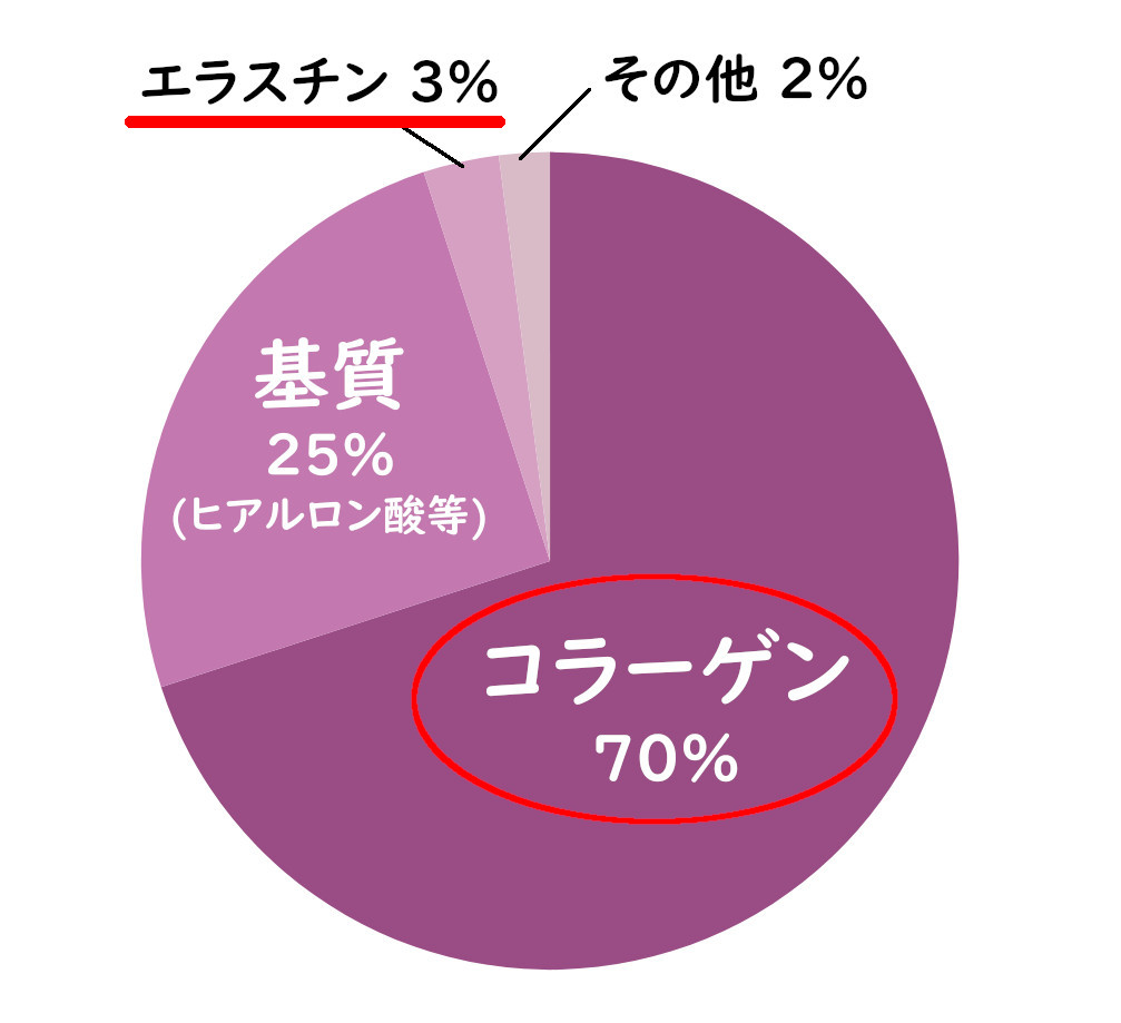 真皮の構成割合円グラフ.
