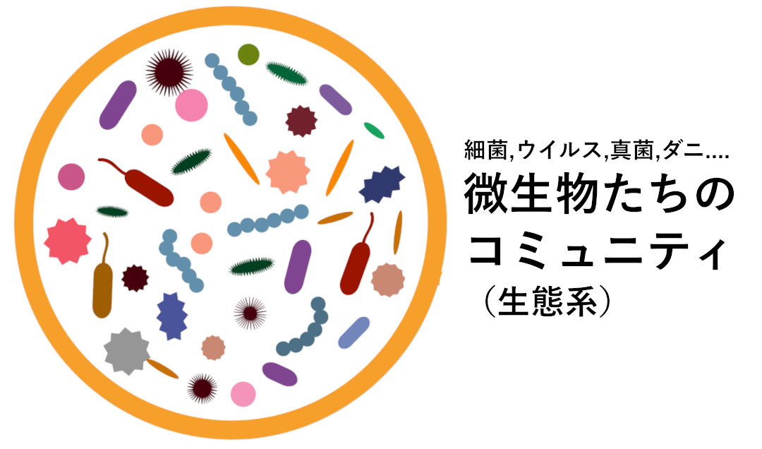 マイクロバイオームとは