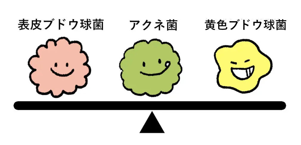 常在菌バランス