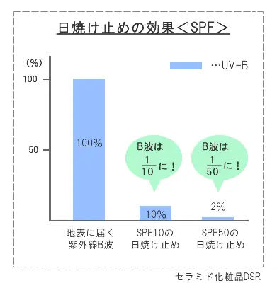 SPFの違う日焼け止めの効果 