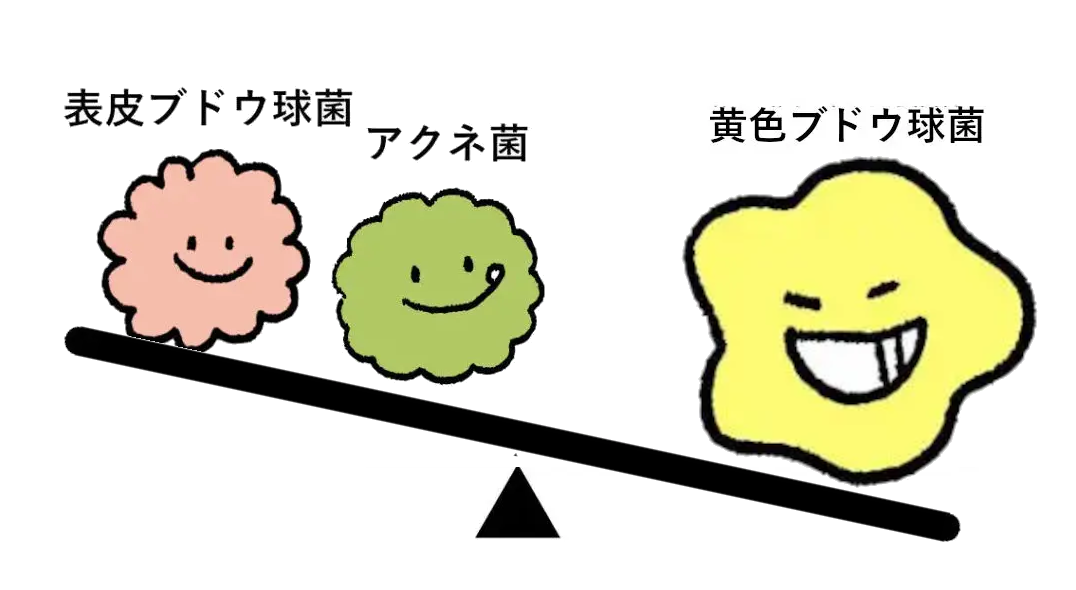 黄色ブドウ球菌の増加