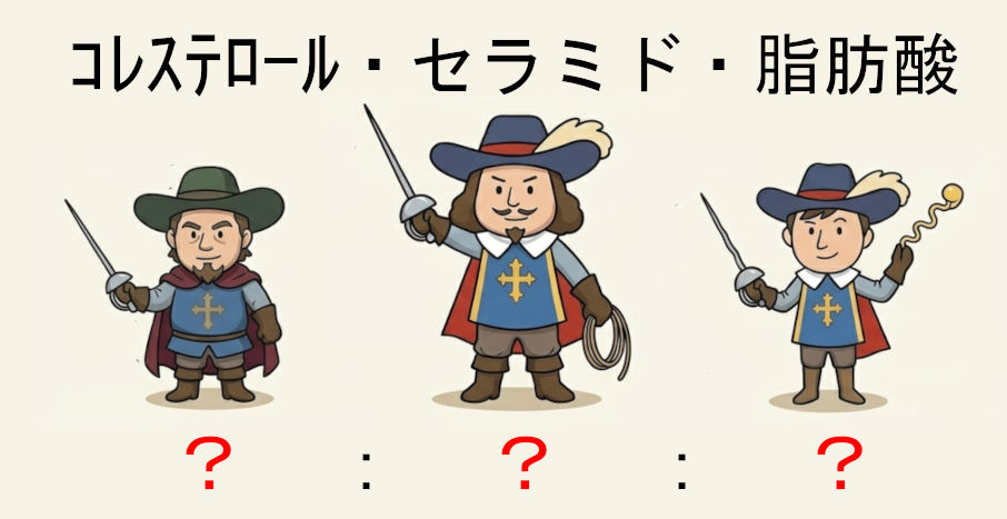 コレステロールセラミド脂肪酸の黄金比率