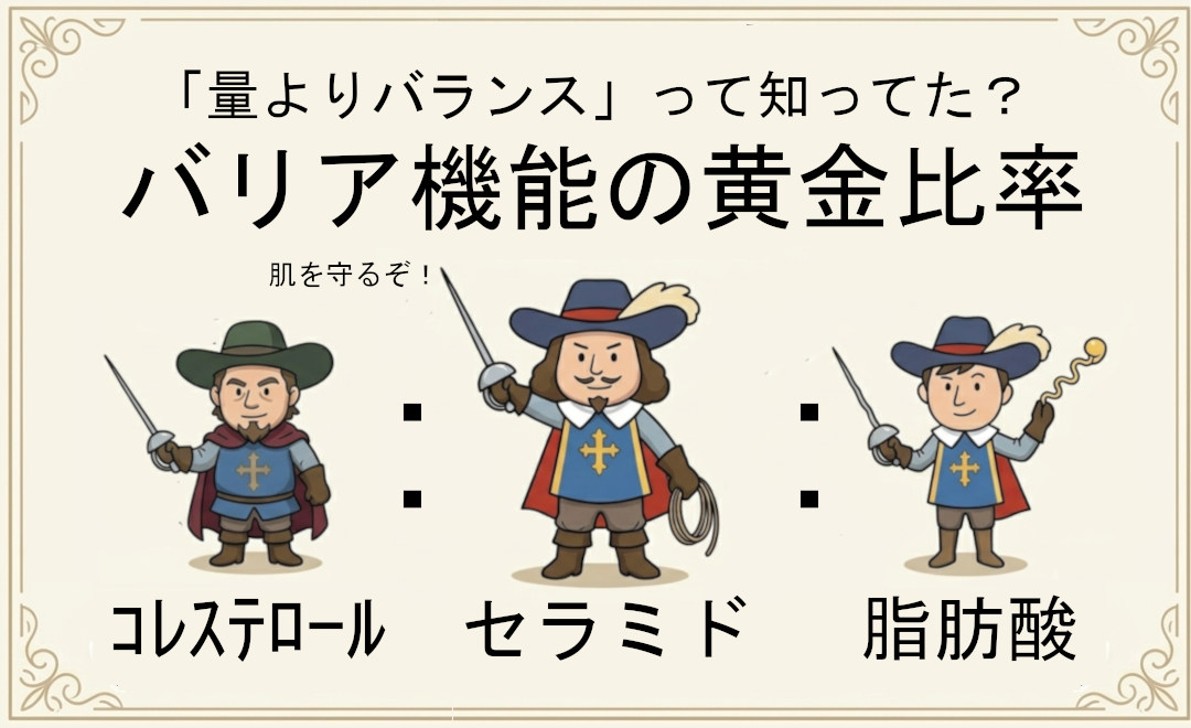 バリア機能の黄金比率