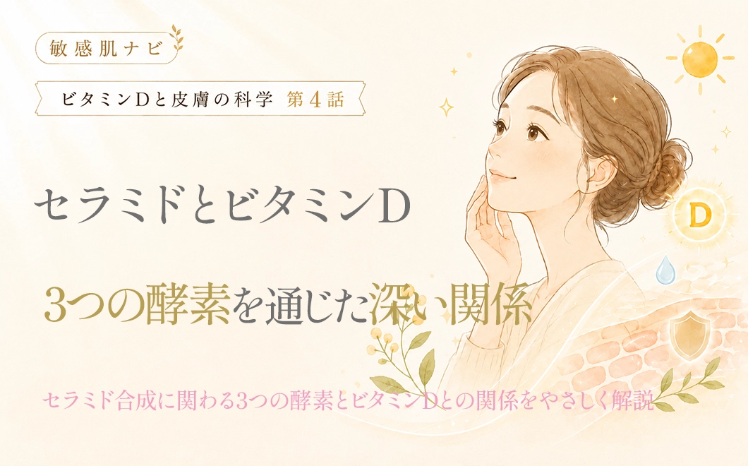 セラミドとビタミンDー3つの酵素を通じた深い関係