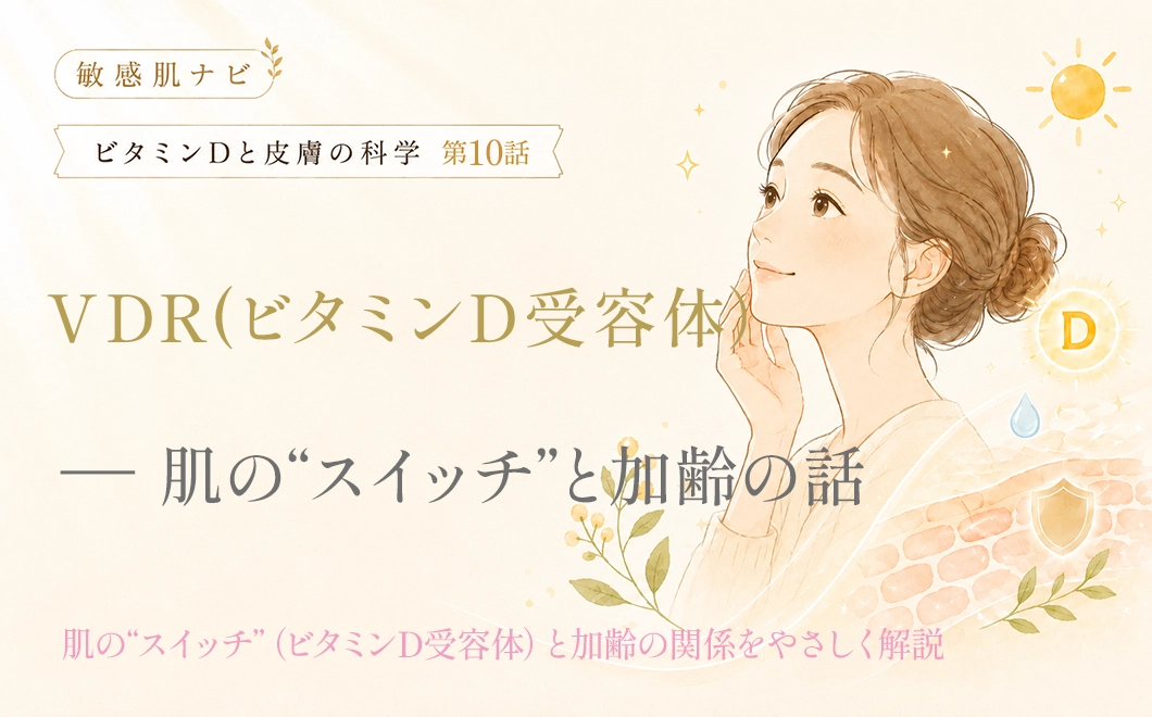 ビタミンD受容体ー肌のスイッチと加齢の話